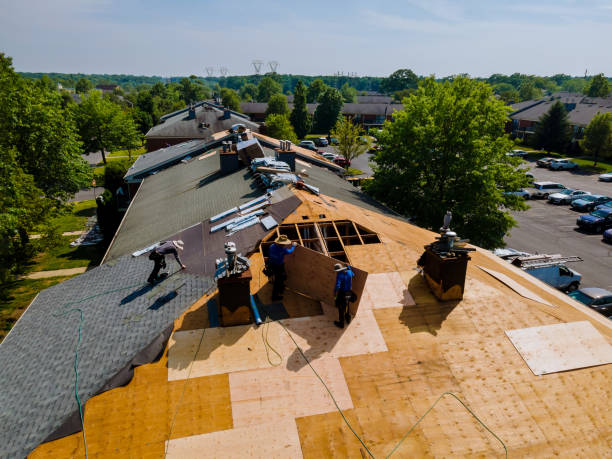 Trusted Storm Damage Roof Repair service in Fayetteville, OH - Brentwood Metal Roofing